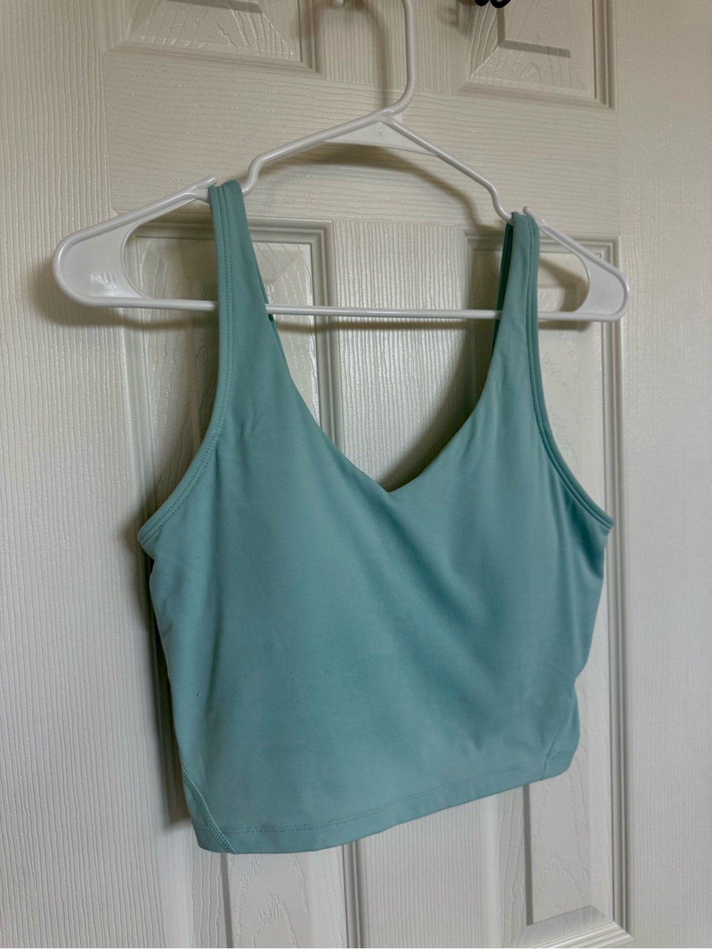 Amazon Seafoam Green V-Neck Crop Tank